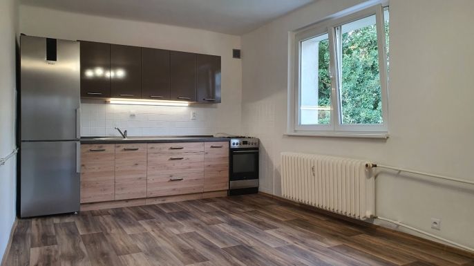 Pronájem, Byt 2+1, Ostrov