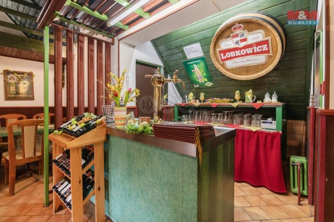 Prodej, Restaurace, stravování, Tisá