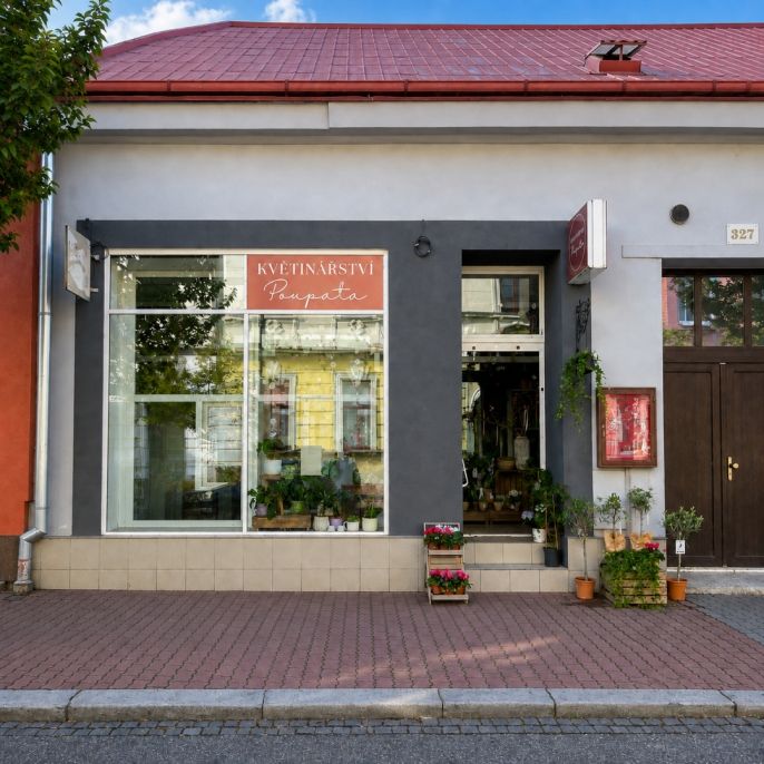 Pronájem, Obchod a služby, Pardubice