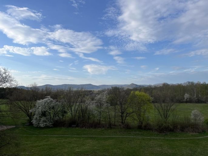 Pronájem, Byt 2+1, Česká Lípa