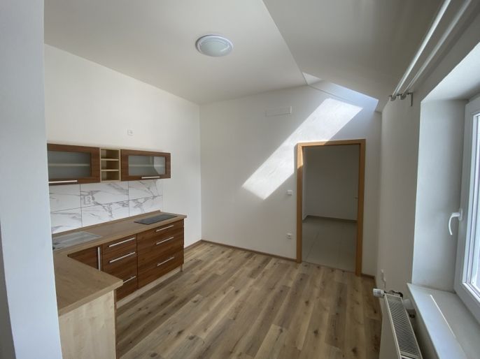 Pronájem, Byt 1+1, Těšany