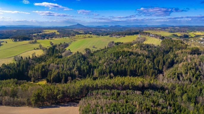 Prodej, Les, Všelibice