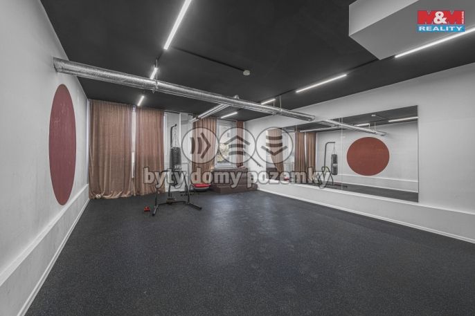 Prodej, Byt 1+kk, Praha