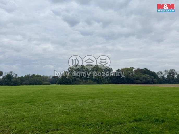 Prodej, Louka, 6089 m², Slavětín nad Metují