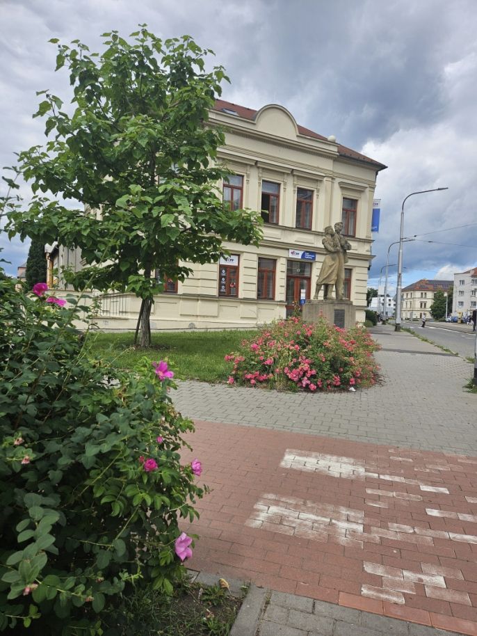 Pronájem, Obchod a služby, Olomouc