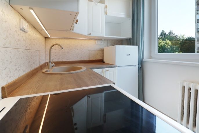 Pronájem, Byt 1+1, Ústí nad Labem