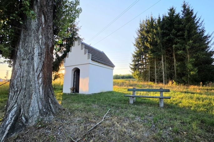 Prodej, Zahrada, Bělá nad Radbuzou