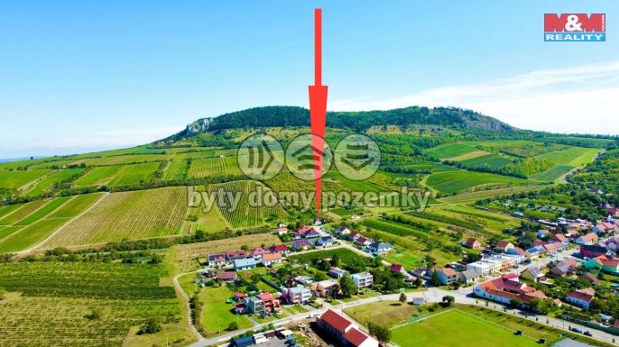 Prodej, Vinný sklep, Perná