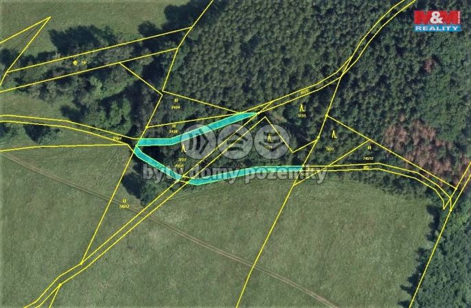 Prodej, Ostatní, Velká Bukovina