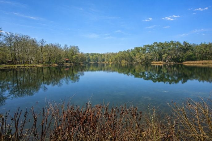 Prodej, Pozemek k bydlení, Loučeň