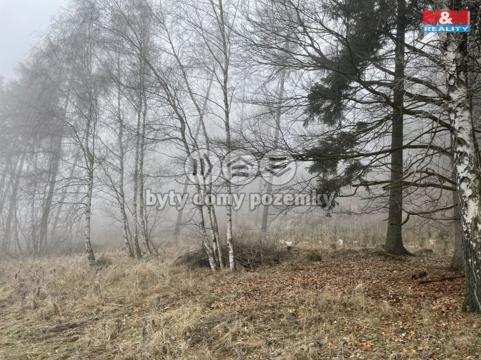 Prodej, Les, Stará Paka