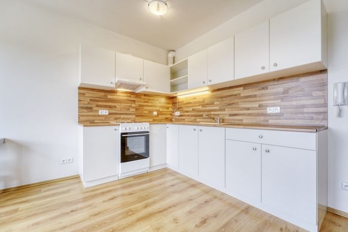 Pronájem, Byt 1+kk, Plasy