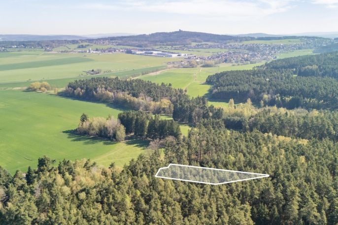 Prodej, Les, Losiná