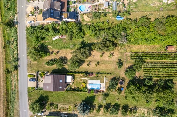 Prodej, Pozemek k bydlení, Viničné Šumice