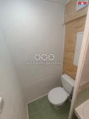 Pronájem, Byt 1+1, České Budějovice