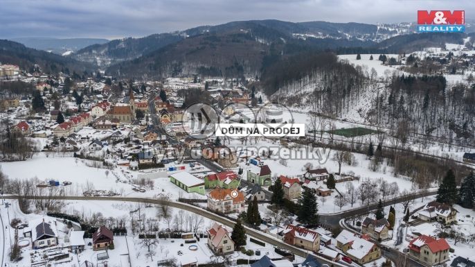 Prodej, Hotel, penzion, Velké Hamry