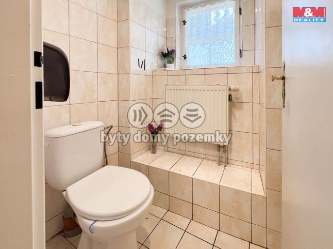 Pronájem, Restaurace, stravování, Železná Ruda