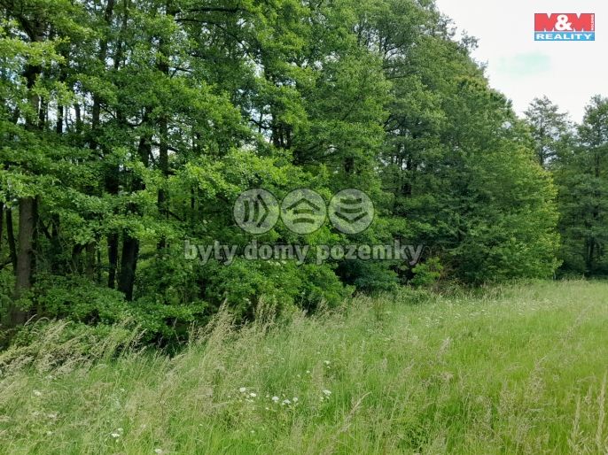 Prodej, Louka, Oselce