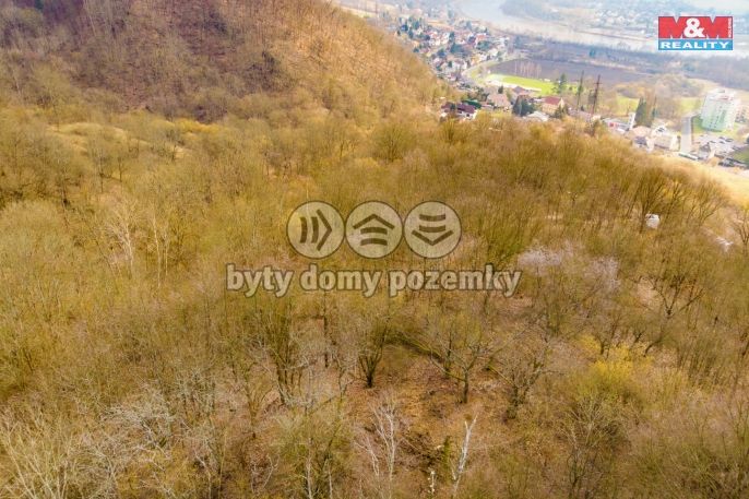 Prodej, Ostatní, Ústí nad Labem