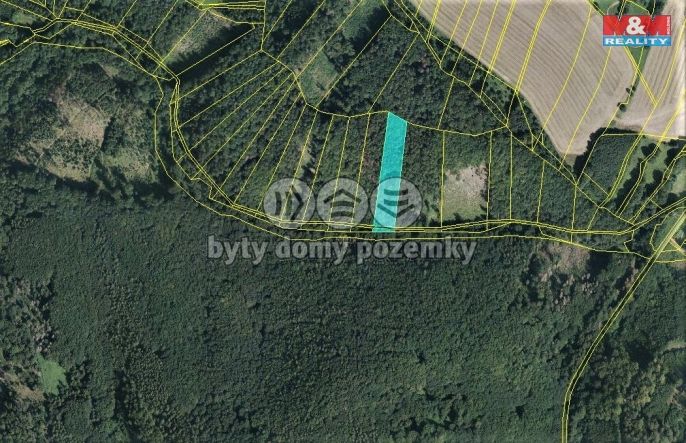 Prodej, Les, Vranová Lhota