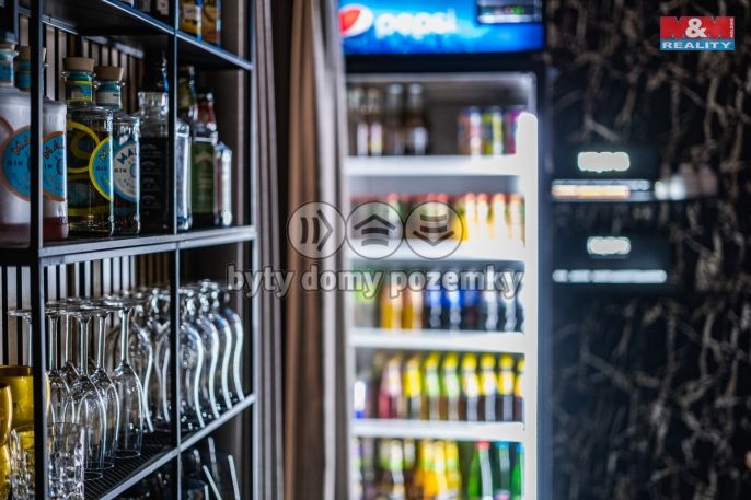 Pronájem, Restaurace, stravování, Benešov