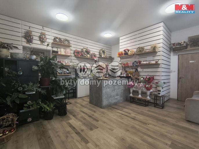 Pronájem, Obchodní objekt, Brno