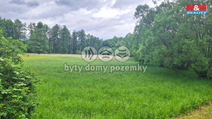 Prodej, Louka, Česká Lípa