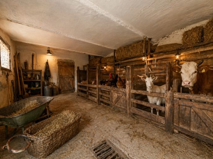 Prodej, Rodinný dům, Pacov