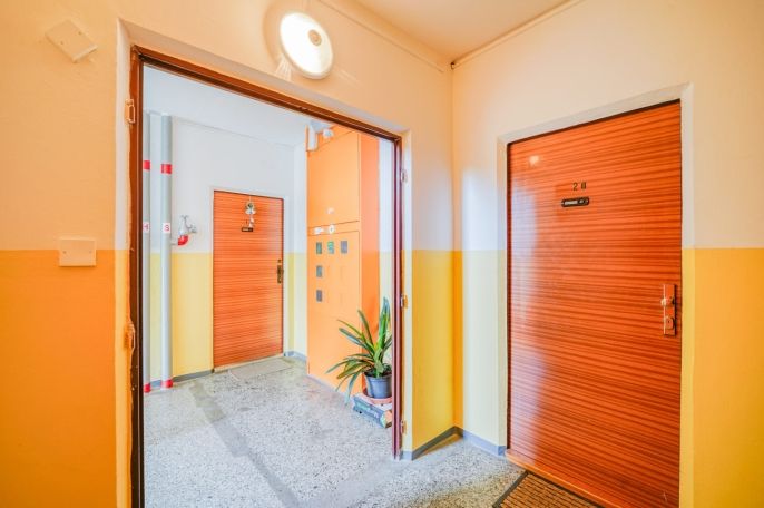 Pronájem, Byt 1+kk, Plzeň