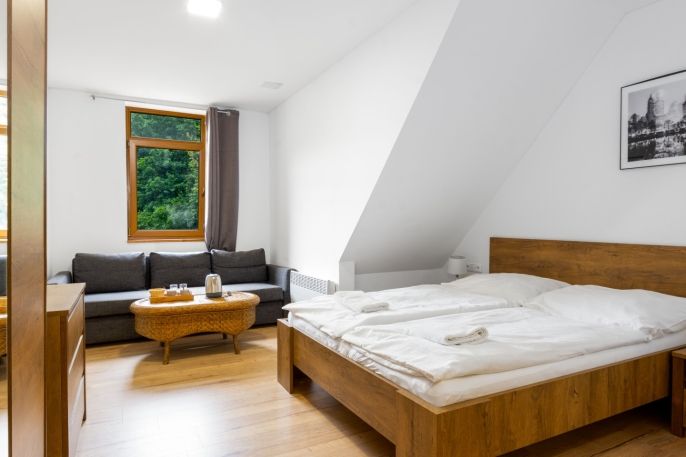 Prodej, Hotel, penzion, Horní Lhota