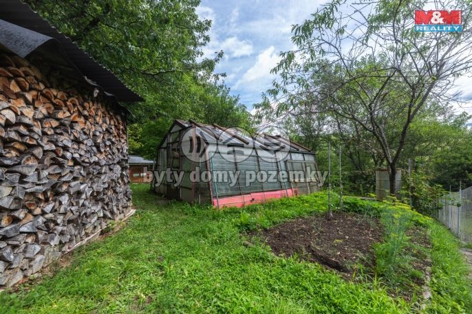 Prodej, Chalupa, Všemina