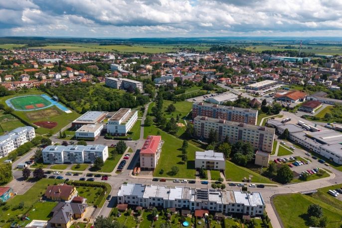 Prodej, Byt 1+1, Holice