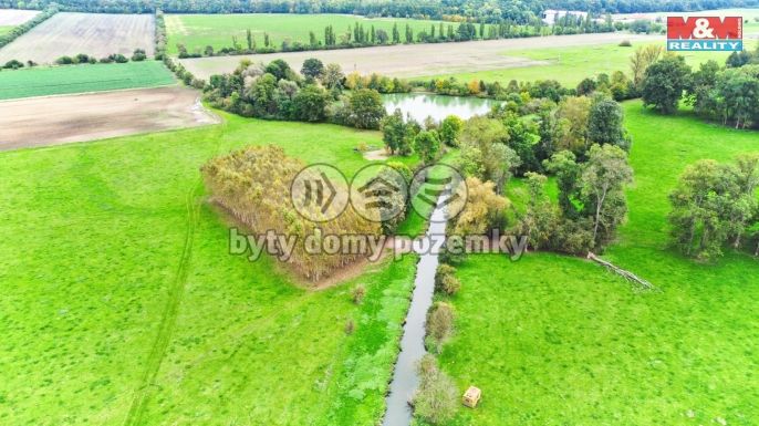 Prodej, Les, Skřivany