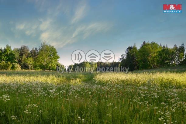 Prodej, Louka, Příbram