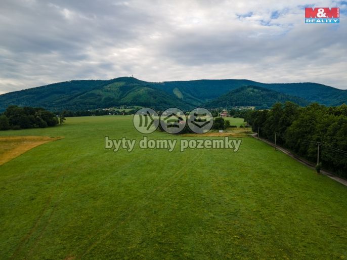 Prodej, Pole, Třinec