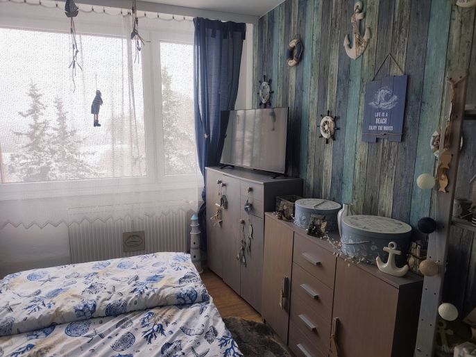 Pronájem, Byt 3+1, Lány