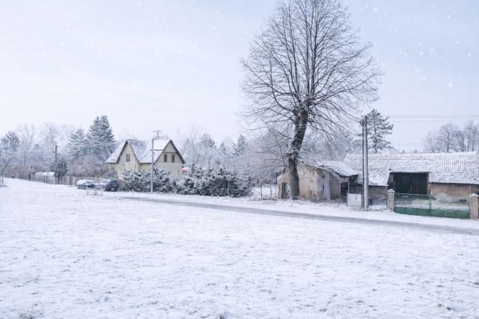 Prodej, Zahrada, Nespeky