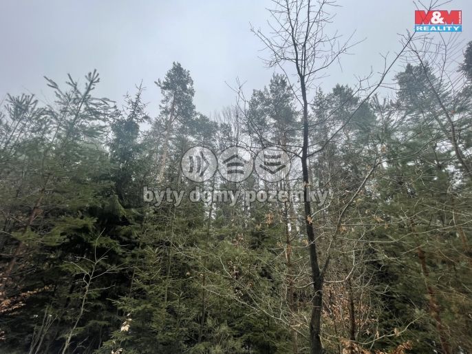 Prodej, Les, Záhoří