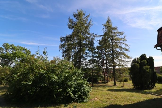 Prodej, Rodinný dům, Peruc