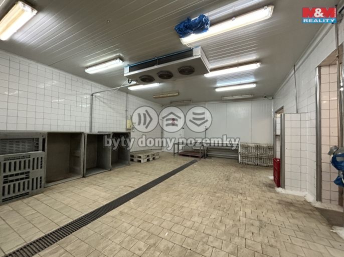 Pronájem, Výrobní objekt, Litenčice