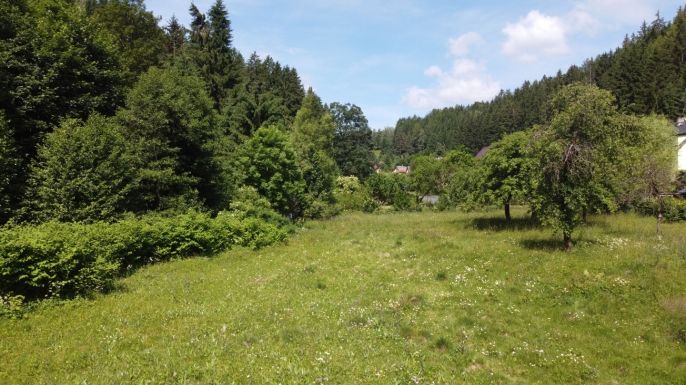 Prodej, Pozemek k bydlení, Plavy