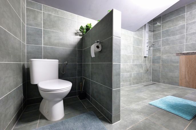 Prodej, Hotel, penzion, Šternberk