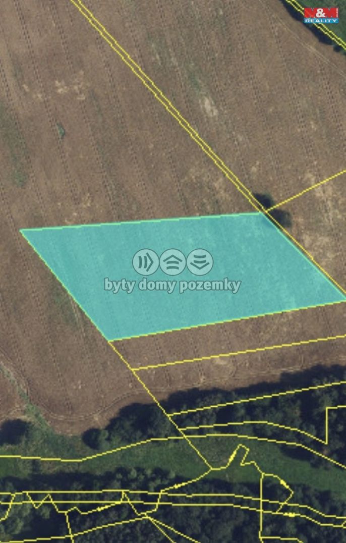 Prodej, Pole, Buková