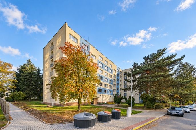 Prodej, Byt 1+1, Strakonice