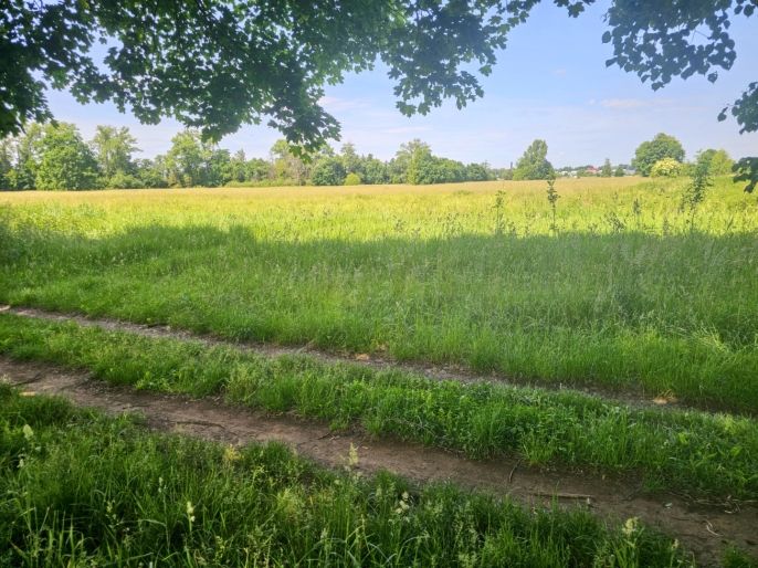 Prodej, Louka, Hradec Králové