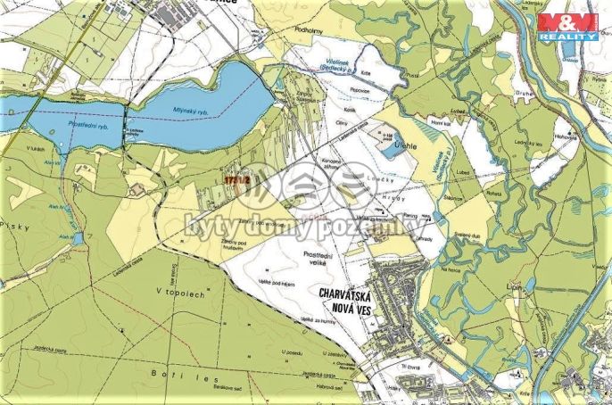 Prodej, Vinice, Břeclav