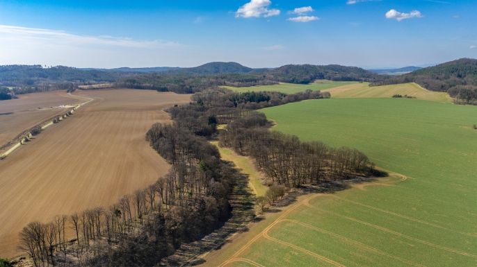 Prodej, Louka, Tachov