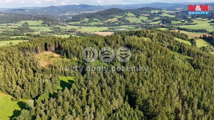Prodej, Les, Petrovice u Sušice