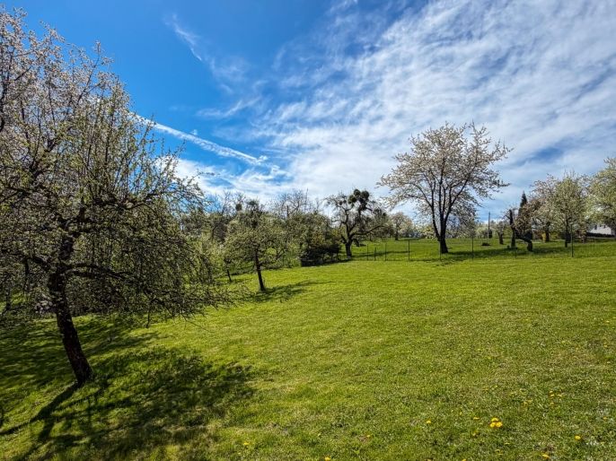 Prodej, Chata, Těrlicko