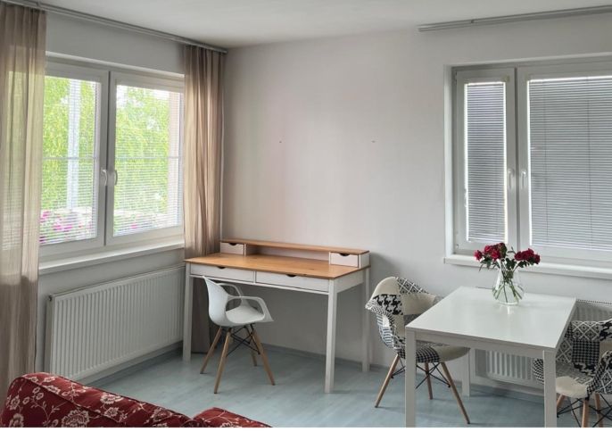 Pronájem, Byt 2+1, Sokolov